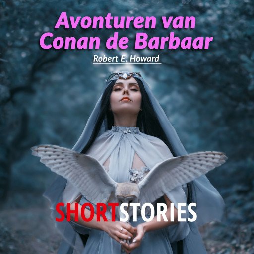 Avonturen van Conan de Barbaar