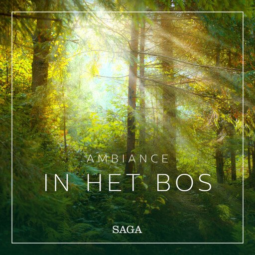 Ambiance – In het bos