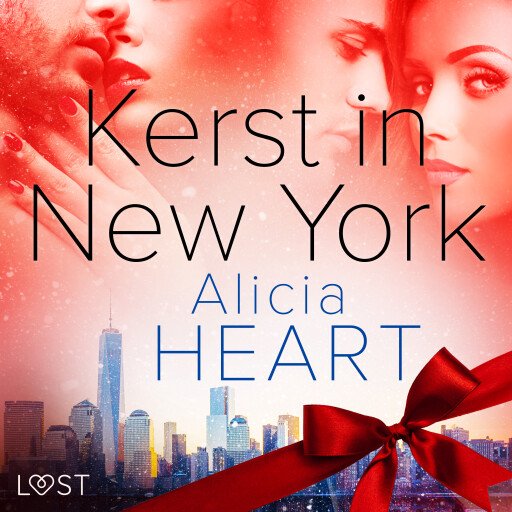 Kerst in New York - erotisch verhaal