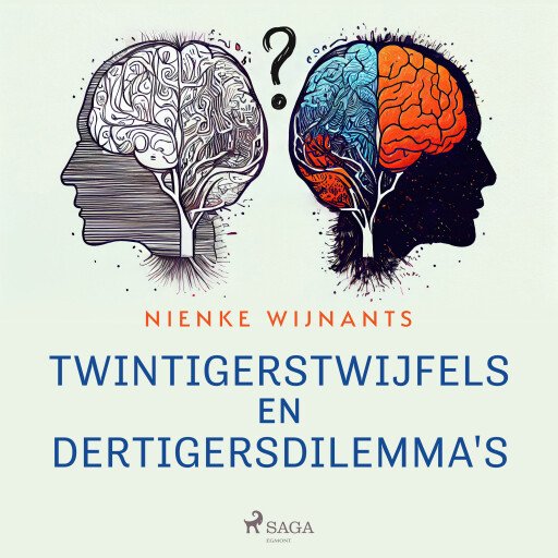 Twintigerstwijfels en dertigersdilemma's