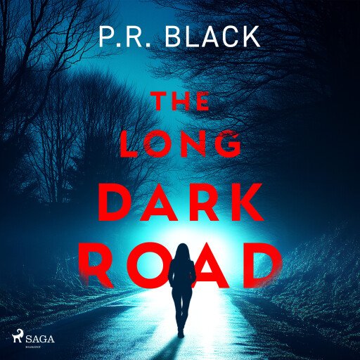 The Long Dark Road: A gripping, atmospheric thriller about how far a mother will go