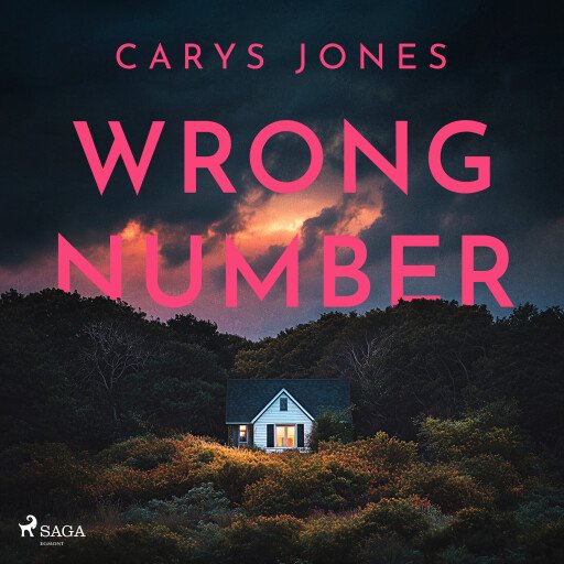 Wrong Number: A gripping, suspense-filled psychological thriller