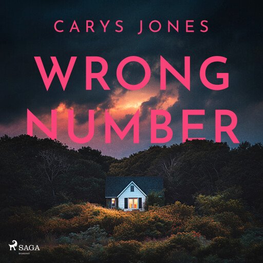 Wrong Number: A gripping, suspense-filled psychological thriller