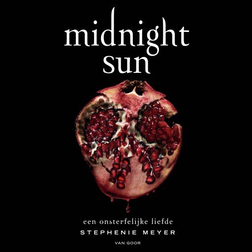 Midnight Sun afbeelding