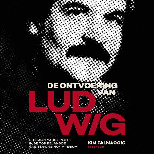 De ontvoering van LUDWIG