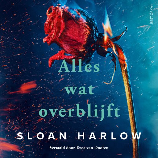 Alles wat overblijft