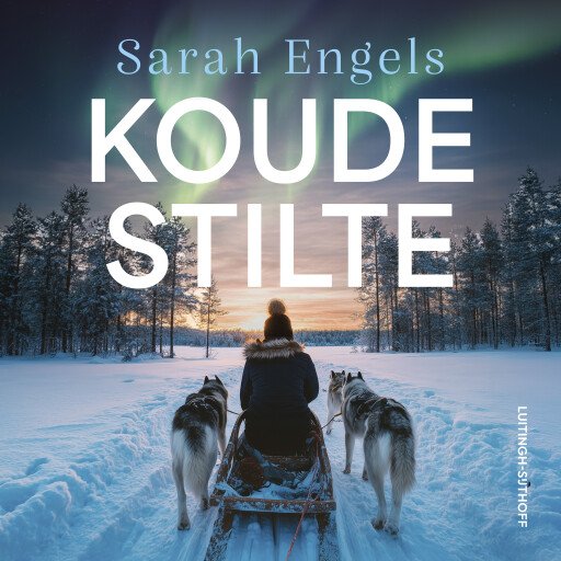 Koude stilte