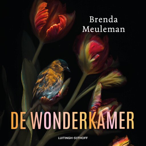 De wonderkamer