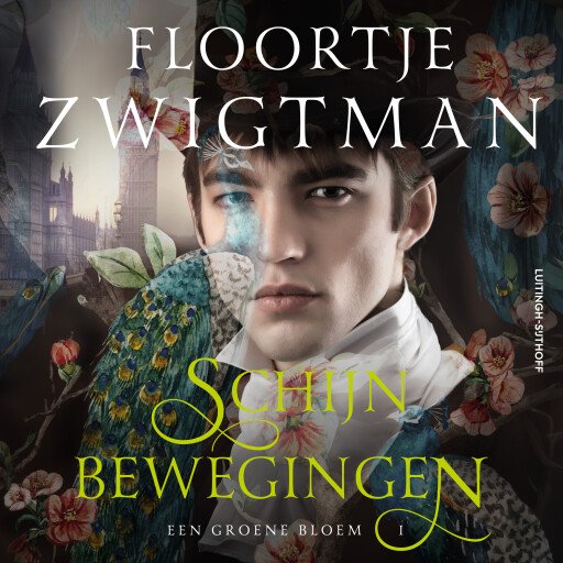 Schijnbewegingen