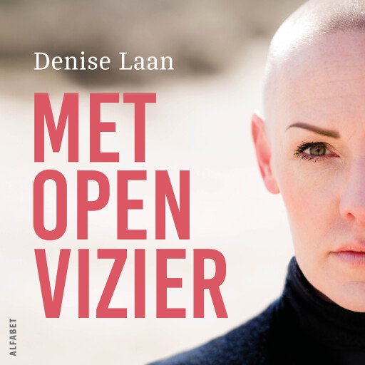 Met open vizier