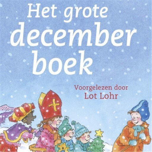 Het grote decemberboek