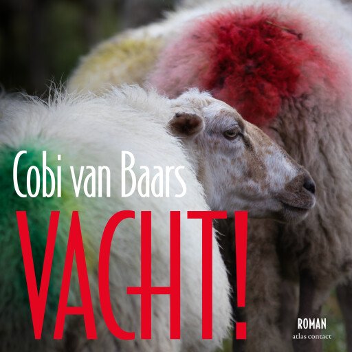 Vacht!