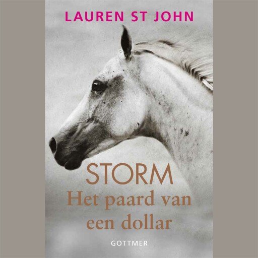 Het paard van een dollar