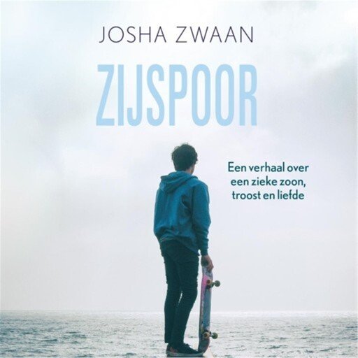 Zijspoor