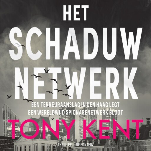 Het schaduwnetwerk