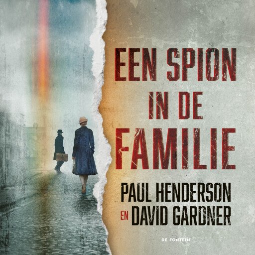 Een spion in de familie