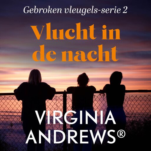 Vlucht in de nacht