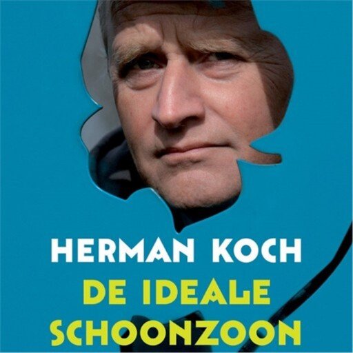 De ideale schoonzoon