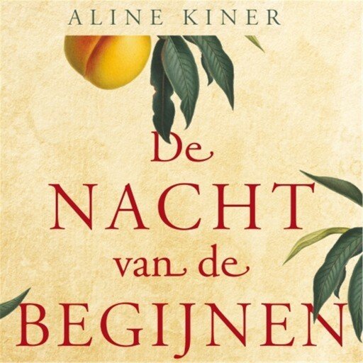 De nacht van de begijnen