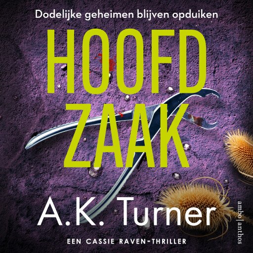 Hoofdzaak
