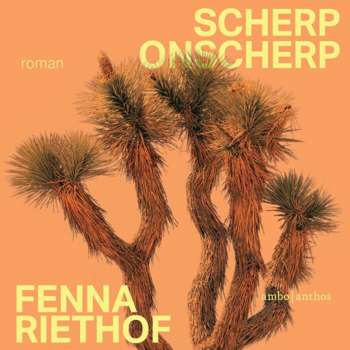 Scherp onscherp