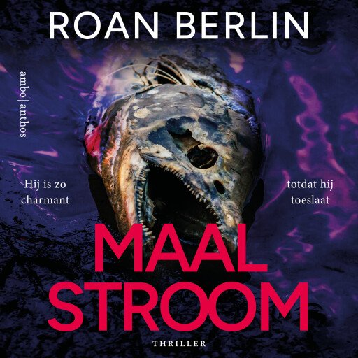 Maalstroom
