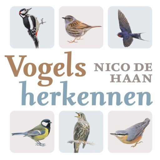 Vogels herkennen