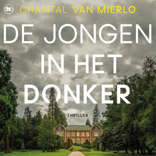 De jongen in het donker