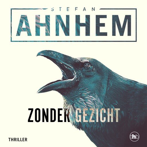 Zonder gezicht