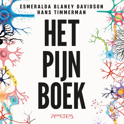 Het Pijn Boek