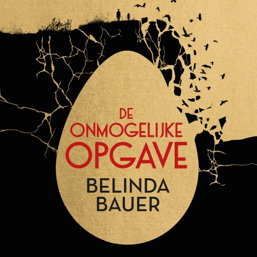 De onmogelijke opgave