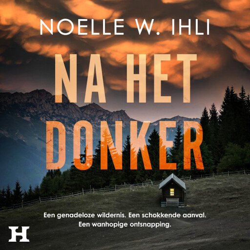 Na het donker