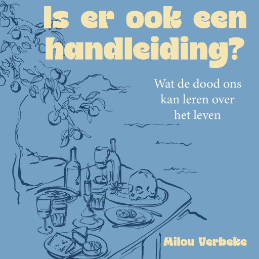 Is er ook een handleiding?