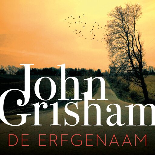 De erfgenaam