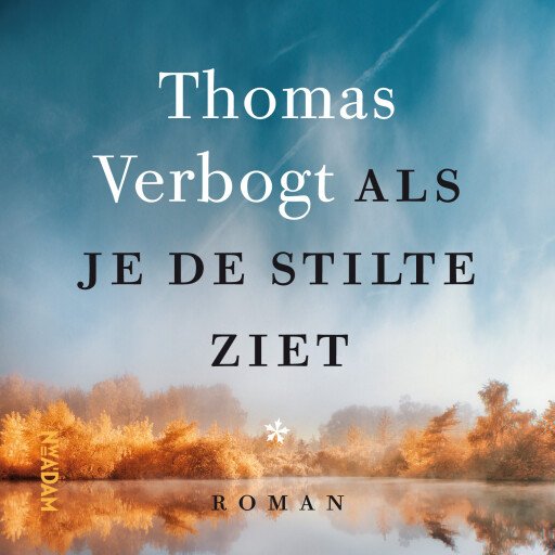 Als je de stilte ziet afbeelding