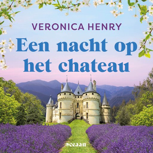 Een nacht op het chateau