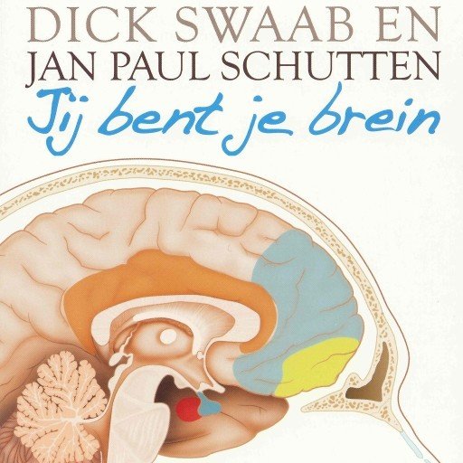 Jij bent je brein