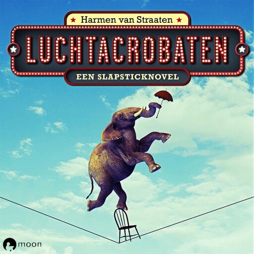Luchtacrobaten