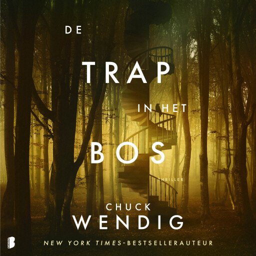 De trap in het bos