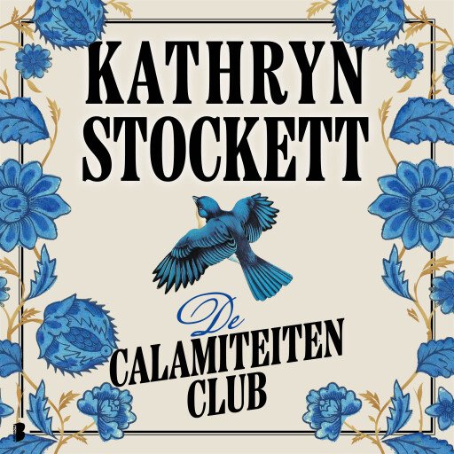 De calamiteitenclub