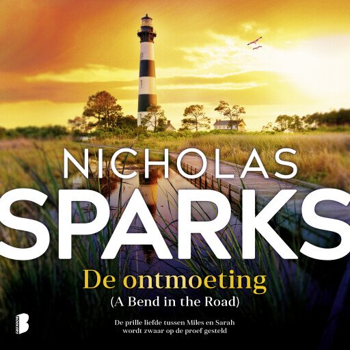 De ontmoeting