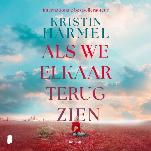 Als we elkaar terugzien