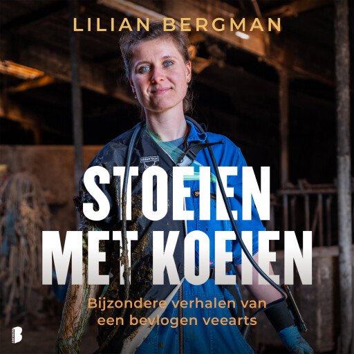 Stoeien met koeien