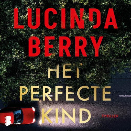 Het perfecte kind