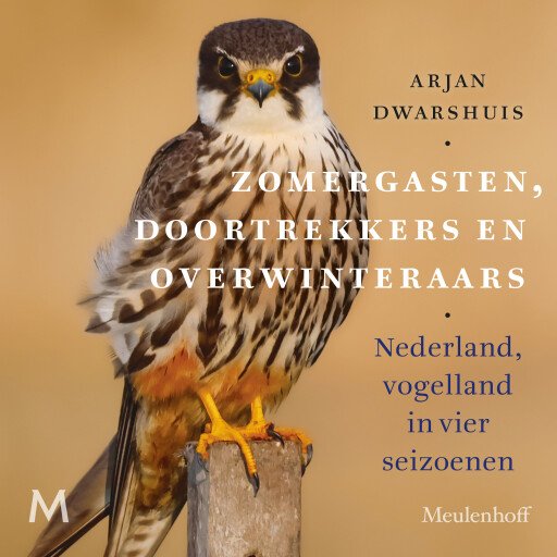 Zomergasten, doortrekkers en overwinteraars
