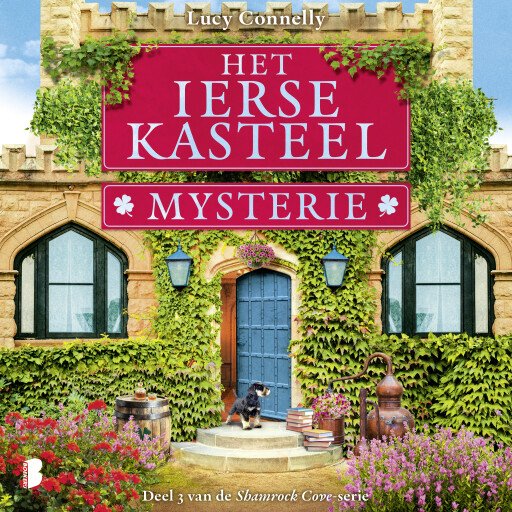 Het Ierse kasteelmysterie