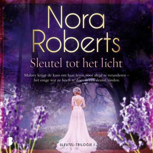 Sleutel tot het licht
