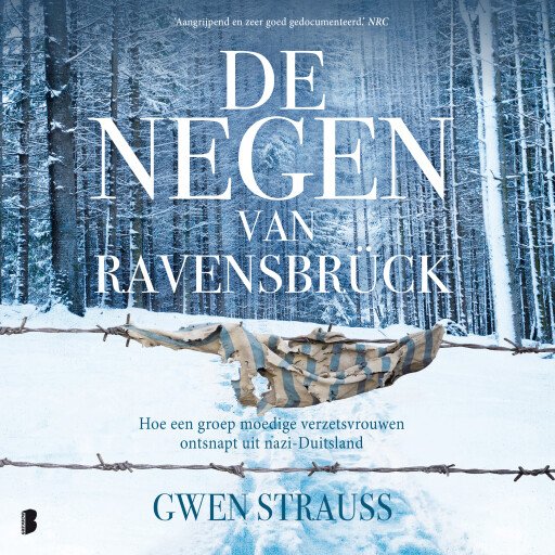 De negen van Ravensbrück