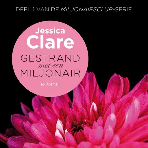 Gestrand met een miljonair