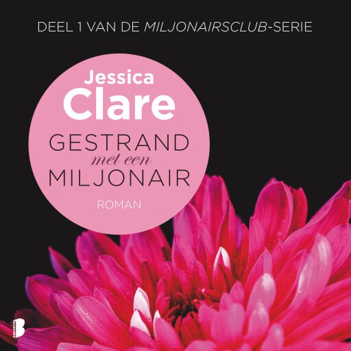 Gestrand met een miljonair